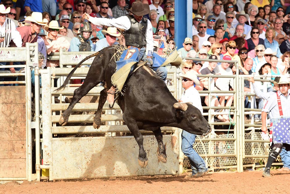 Rodeo