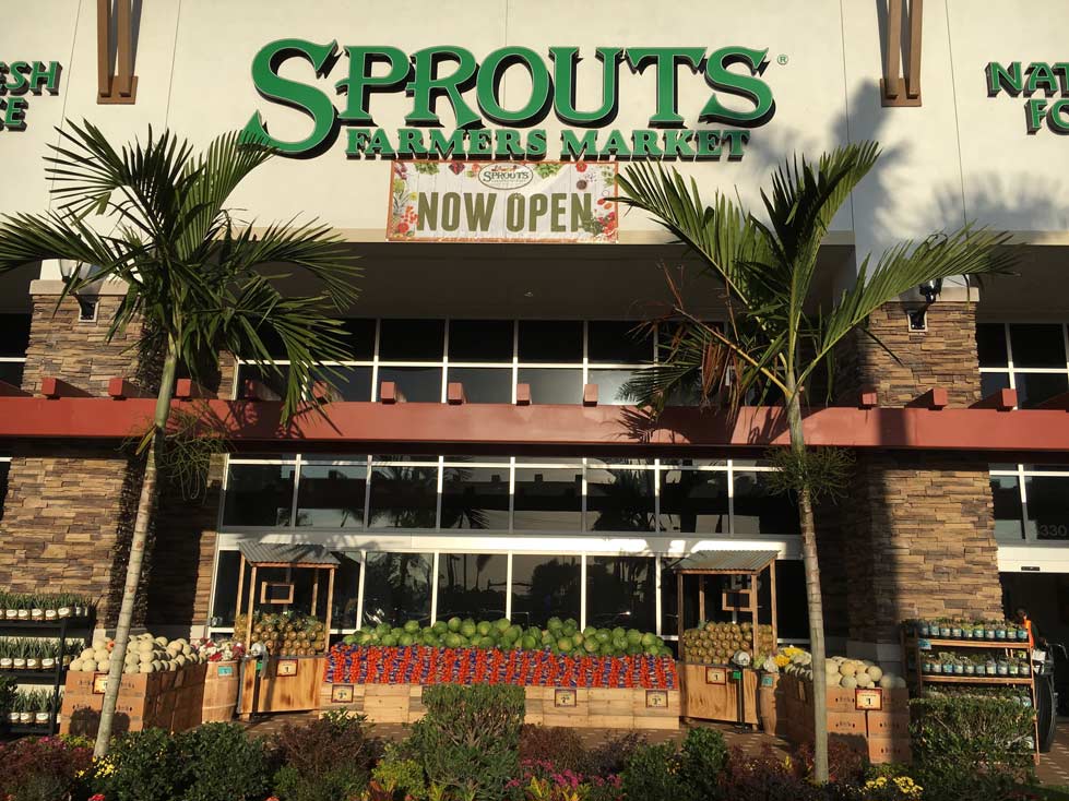 sprouts saraota